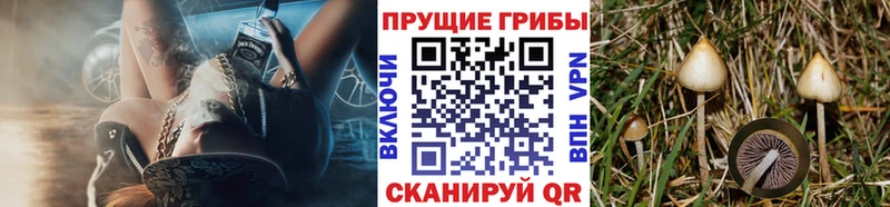 Галлюциногенные грибы мицелий  наркошоп  Артёмовск 