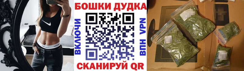 Бошки Шишки планчик Артёмовск